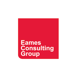 Seventh-Wave Customer - Eames Consulting Group